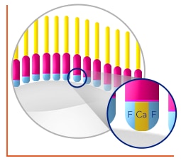 Fluoride retention in enamel