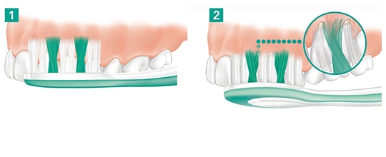 Este movimento deve ser feito em cada dente.