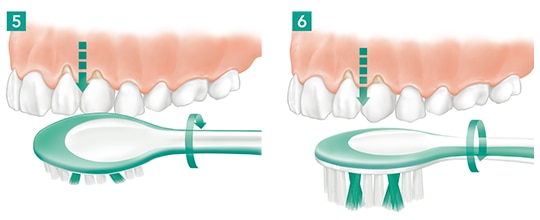 Este movimento deve ser feito em cada dente.