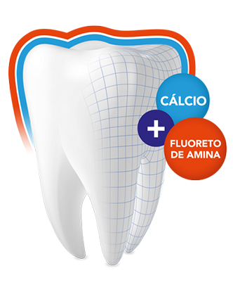 Dente Cálcio+Fluoreto de amina Dente Cálcio+Fluoreto de amina